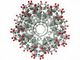 Katalizator zeolitu Nano ZSM-5 o wielkości cząstek 50 ~ 100 nm dla katalizatora / adsorbentu